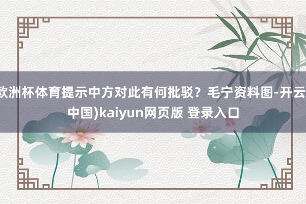 欧洲杯体育提示中方对此有何批驳？毛宁资料图-开云(中国)kaiyun网页版 登录入口