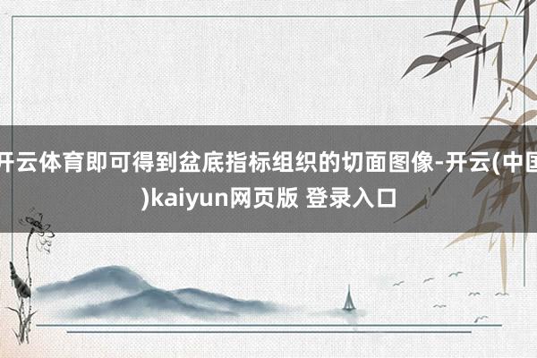 开云体育即可得到盆底指标组织的切面图像-开云(中国)kaiyun网页版 登录入口