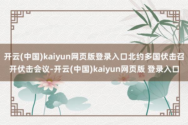 开云(中国)kaiyun网页版登录入口北约多国伏击召开伏击会议-开云(中国)kaiyun网页版 登录入口