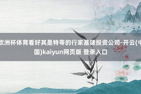 欧洲杯体育看好其是特等的行家基建投资公司-开云(中国)kaiyun网页版 登录入口