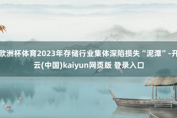欧洲杯体育2023年存储行业集体深陷损失“泥潭”-开云(中国)kaiyun网页版 登录入口