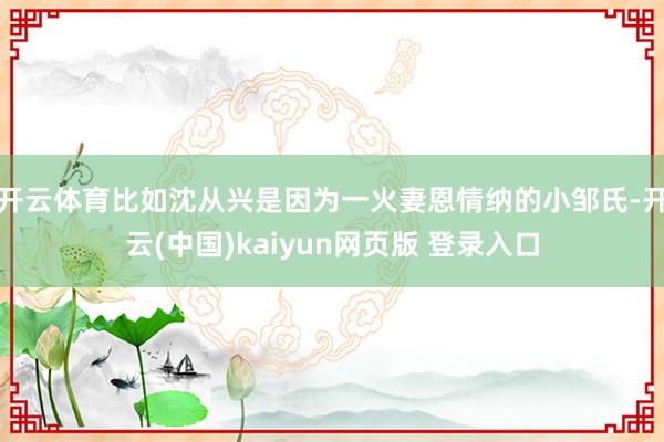 开云体育比如沈从兴是因为一火妻恩情纳的小邹氏-开云(中国)kaiyun网页版 登录入口